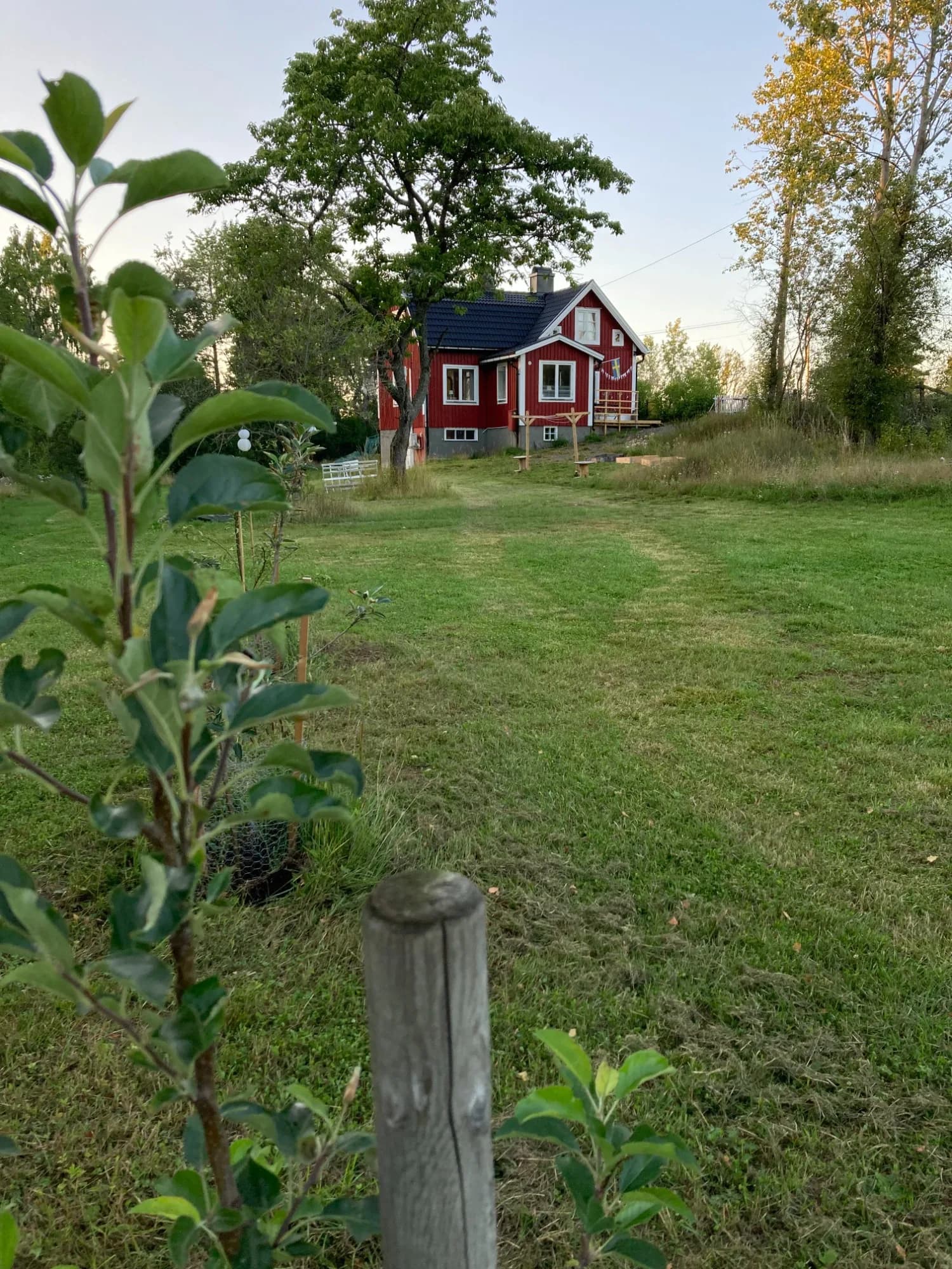 Stort gräsområde framför det röda trähuset